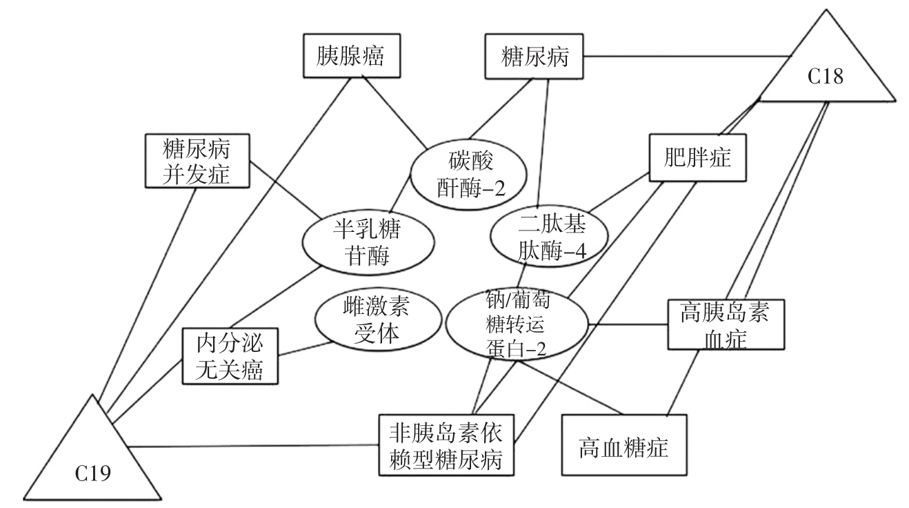 籽瓜浓缩汁的靶点-疾病网络