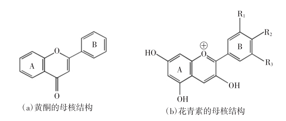 黄酮类化合物和花青素的基本母核结构